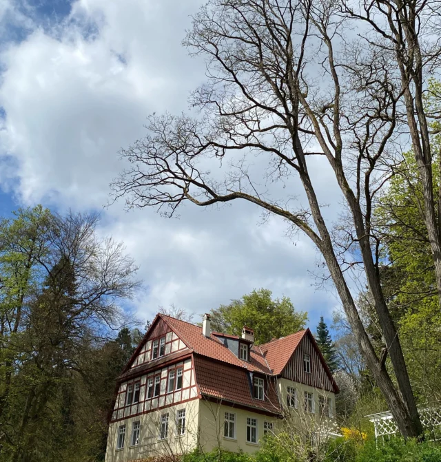 Hallo Mai, du neuer wunderschöner Monat.🌿🌞